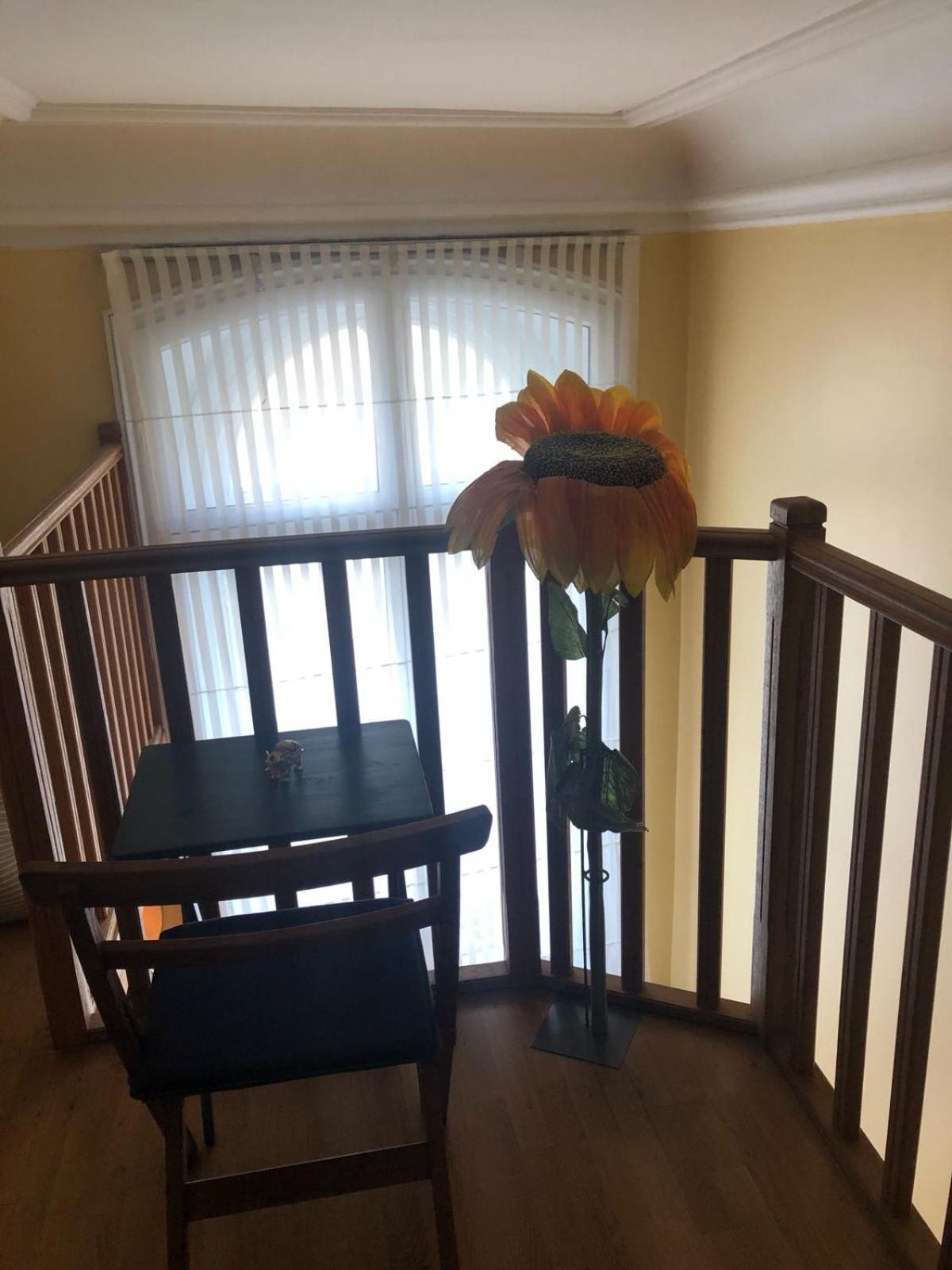 Luxury In Apartment